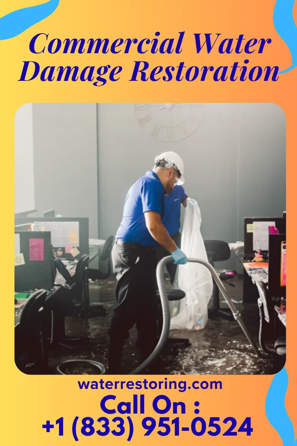 Commercial Water Damage Restoration in Lake Shore, WA