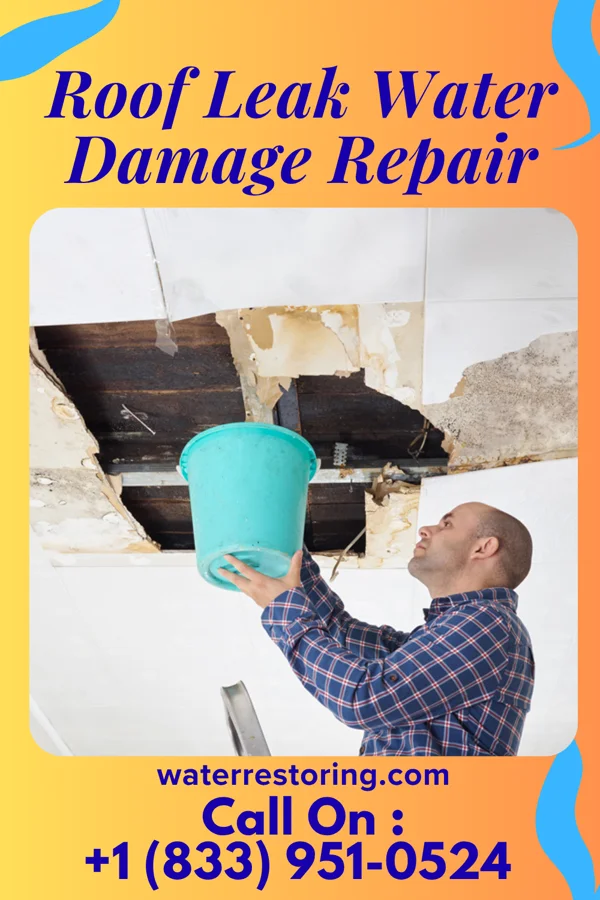 Roof Leak Water Damage Repair in Lake Shore, WA